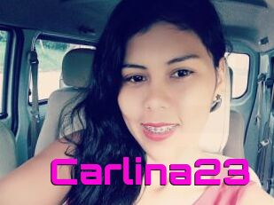Carlina23