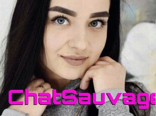 ChatSauvage