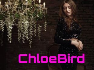 ChloeBird