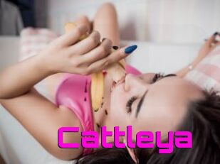 _Cattleya