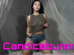 Candicebunny