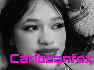 Caribeanfox