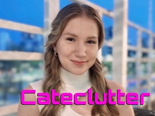 Cateclutter