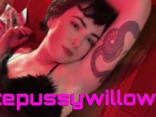 Claudettepussywillow