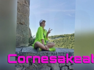 Cornesakeat