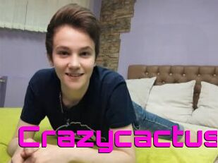 Crazycactus