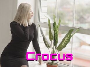 Crocus