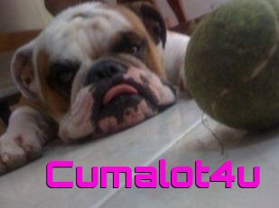 Cumalot4u