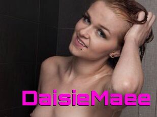 DaisieMaee