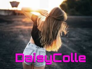 DaisyColle