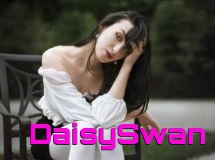 DaisySwan