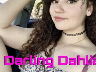 Darling_Dahlia