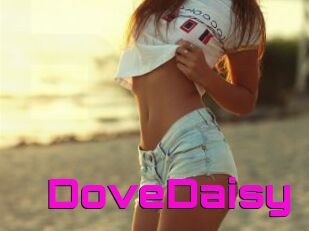 DoveDaisy