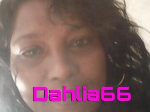 Dahlia66