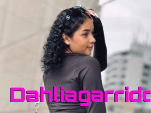 Dahliagarrido