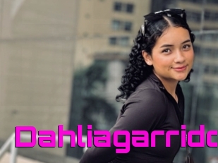 Dahliagarrido