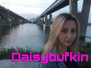 Daisybufkin