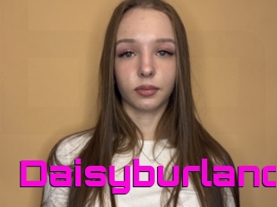 Daisyburland