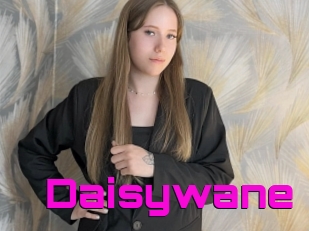 Daisywane