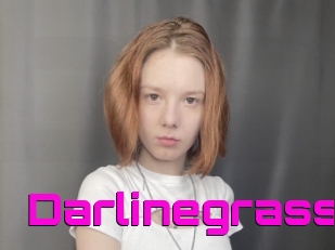 Darlinegrass
