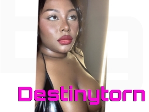 Destinytorn
