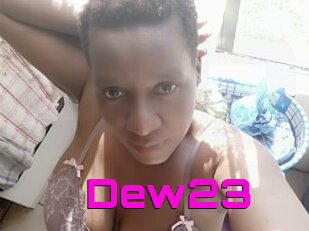 Dew23