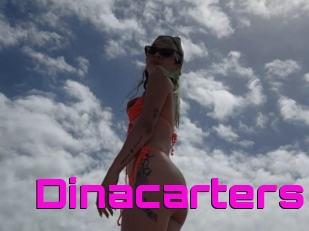 Dinacarters
