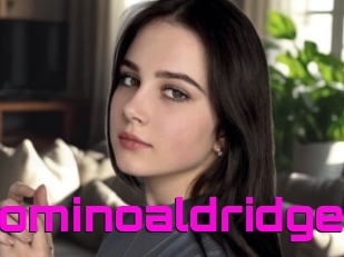 Dominoaldridge