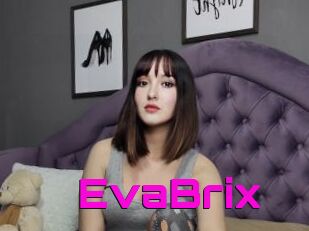 EvaBrix