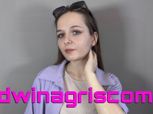 Edwinagriscom