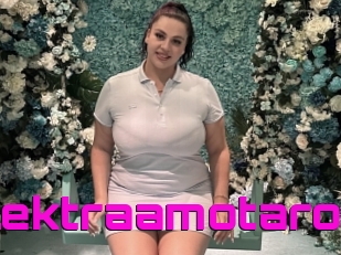 Elektraamotaro