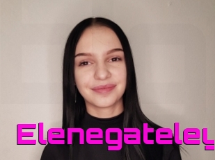 Elenegateley