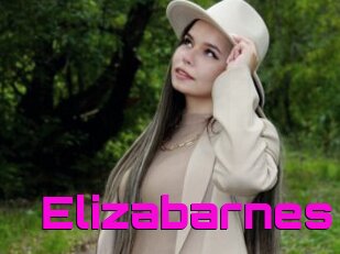 Elizabarnes