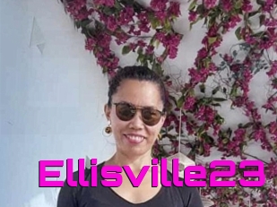 Ellisville23