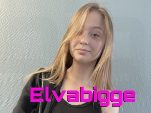 Elvabigge