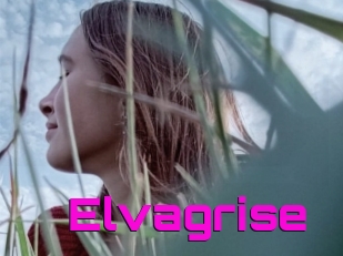 Elvagrise