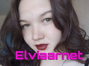 Elviaarnet
