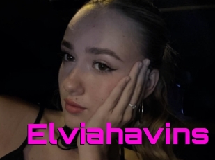 Elviahavins