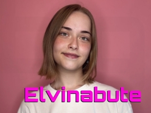 Elvinabute