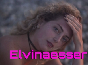 Elvinaesser