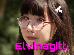 Elvinagitt