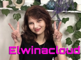 Elwinacloud