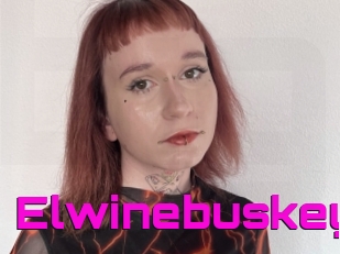 Elwinebuskey