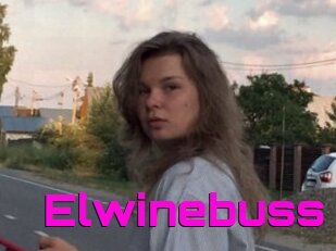 Elwinebuss