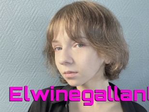 Elwinegallant