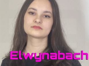 Elwynabach