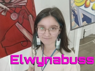 Elwynabuss