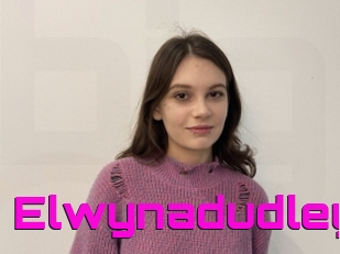Elwynadudley