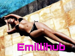 Emillihub