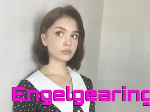 Engelgearing